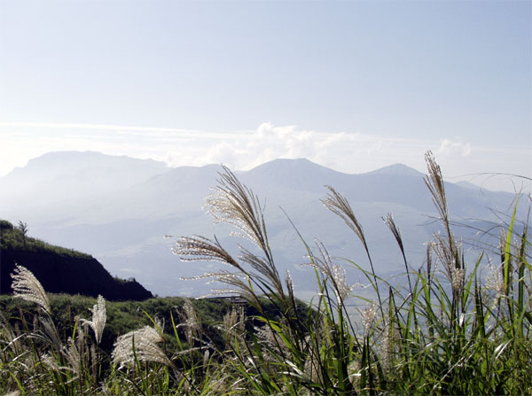 5 Peaks & Pampas Grass