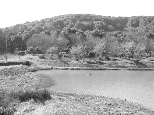 A pond at the northern bottom of the Tatuda hill