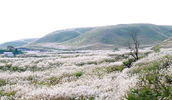 Mt.Aso in autumn