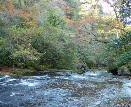 Kikuchi glen in autumn