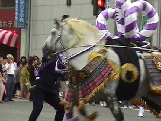 Decorated horse