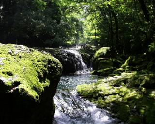 glen