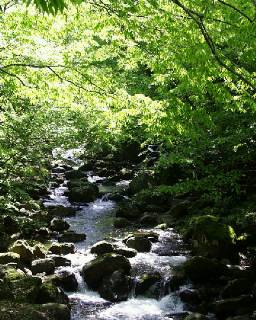 glen