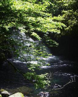 glen