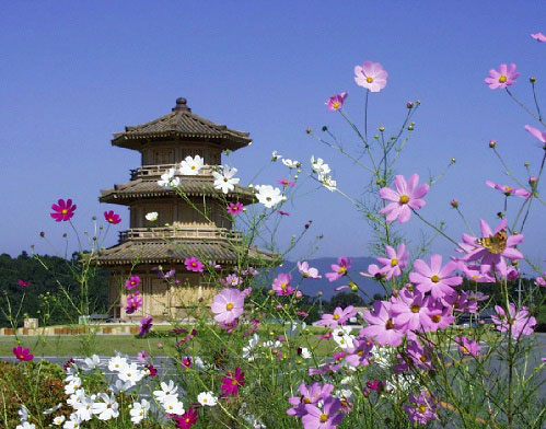 The ruin of Kikuchi castle in autumn