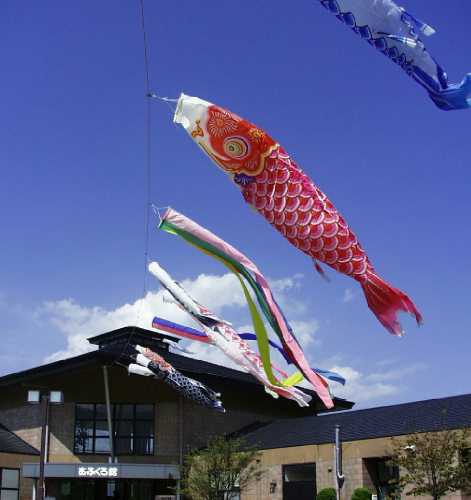 Carp streamers