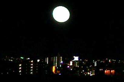 Harvest Moon