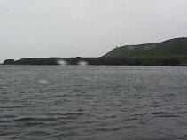 Siretoko Point