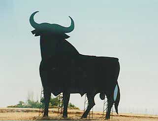 cow