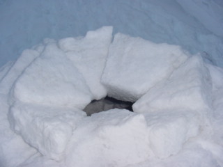 igloo16.jpg