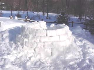 igloo8.jpg