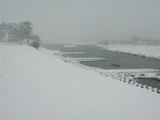 Snow falls over Tama-River 1