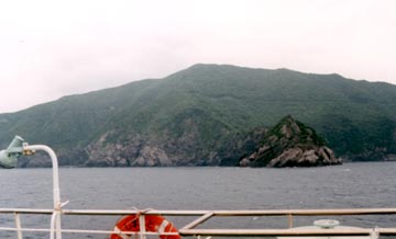 土佐の岩肌