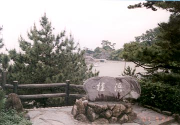 桂浜到着