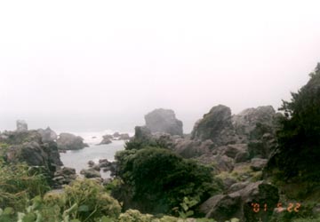 室戸岬情景
