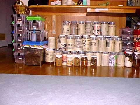 texasroom.jpg (28857 oCg)