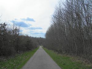 [ȗ]