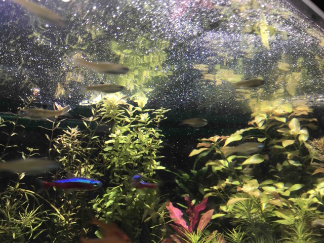 油膜画像1