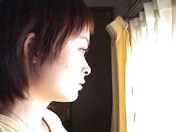 �����͐������������B