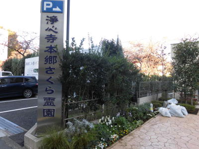 浄心寺・本郷さくら霊園(1)