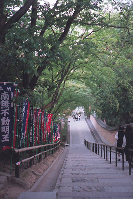 t-sample2.jpg (56428 バイト)