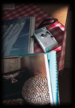 tproof-2.jpg (23054 バイト)