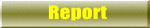 Report