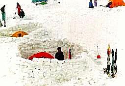 ������e���g��