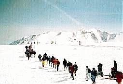 �T��������