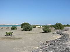 IMG_0625.JPG