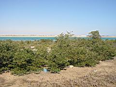 IMG_0627.JPG