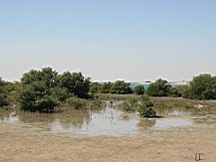 IMG_0630.JPG