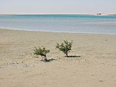 IMG_0640.JPG