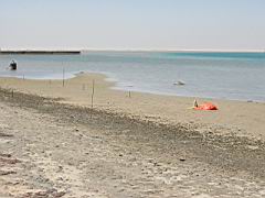 IMG_0641.JPG