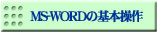 MS-WORD̊{