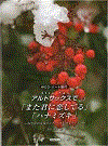 Alto_Sax_de_Bok画像