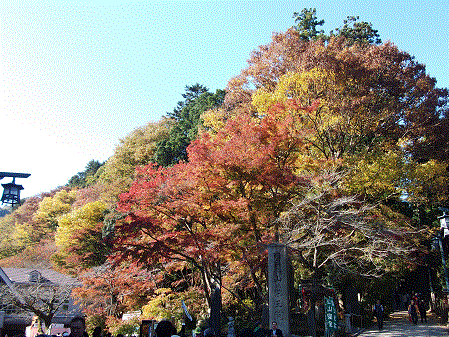 Takaosan画像