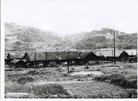 p009.jpg