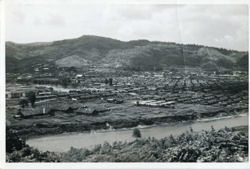 p009.jpg