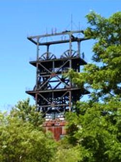 p009.jpg
