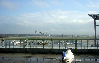 �����Ȃ�^�_�ł�(^^;