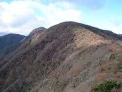 拡大画像は別館へ