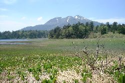 尾瀬沼と燧ケ岳
