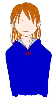 Flash摜