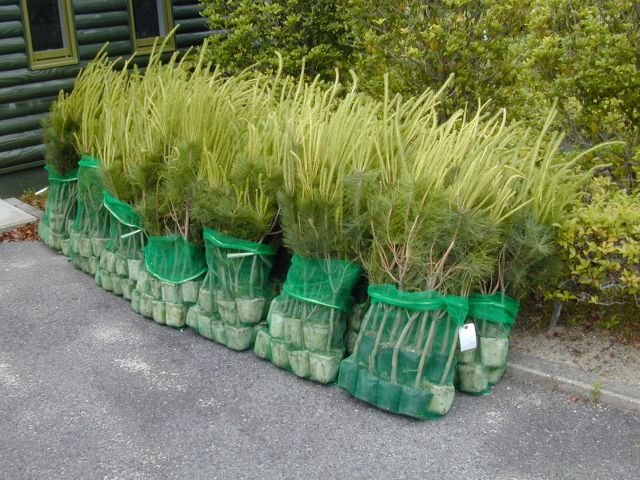 photo01