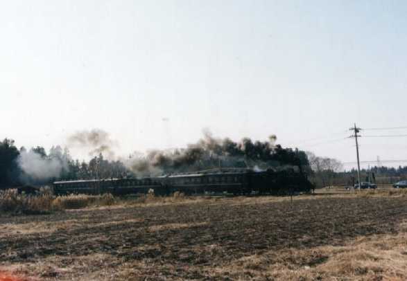c126676_1.jpg