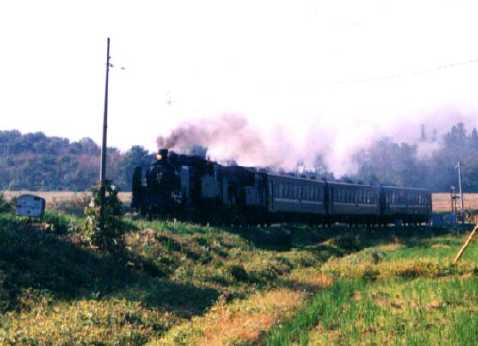 c1101_1.jpg