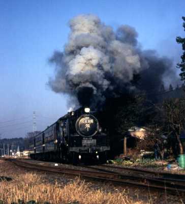 c1132516_1.jpg