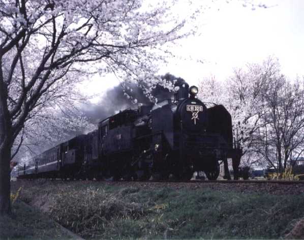 no.18.jpg