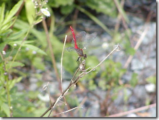 �Q�O�O�P�āE�A��